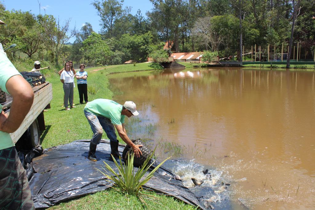 Hotel Fazenda Vista Alegre Sao Lourenco  Buitenkant foto